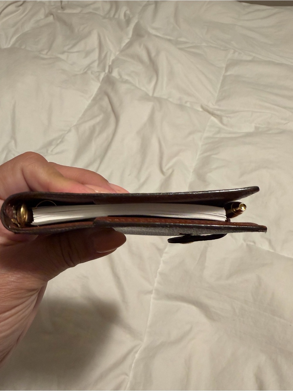 Louis Vuitton Monogram Agenda Cover in Brown and Gold - Picture 11 of 13